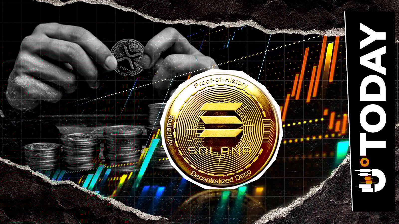 Керівник Ripple до спільноти XRP: Не ігноруйте Solana.