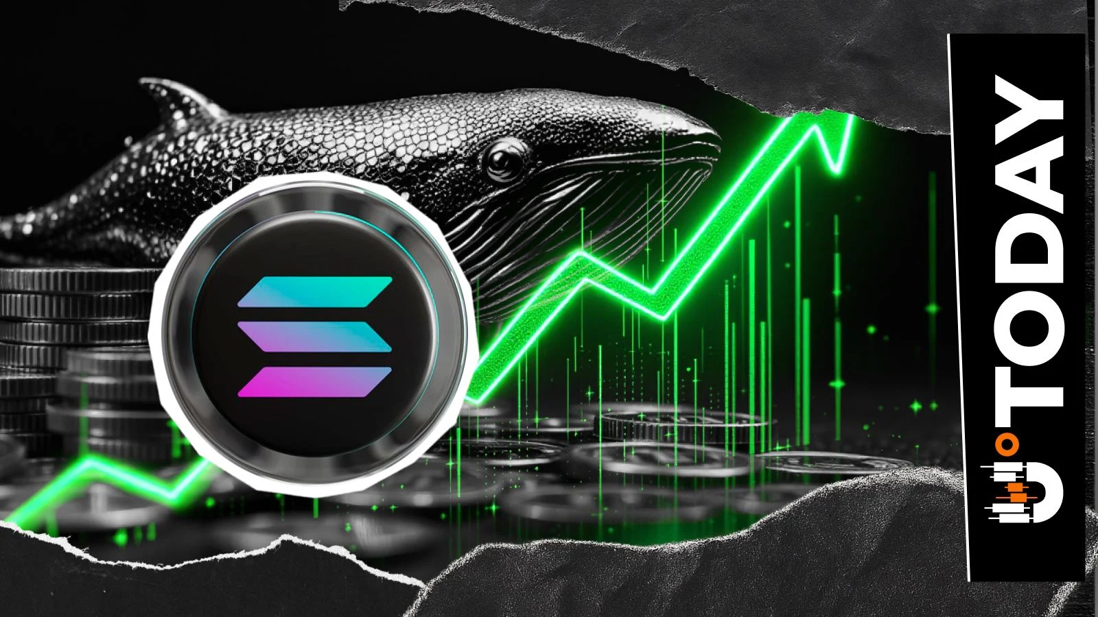 Сонний кит Solana прокинувся: 80,000 SOL переміщено після року бездіяльності.